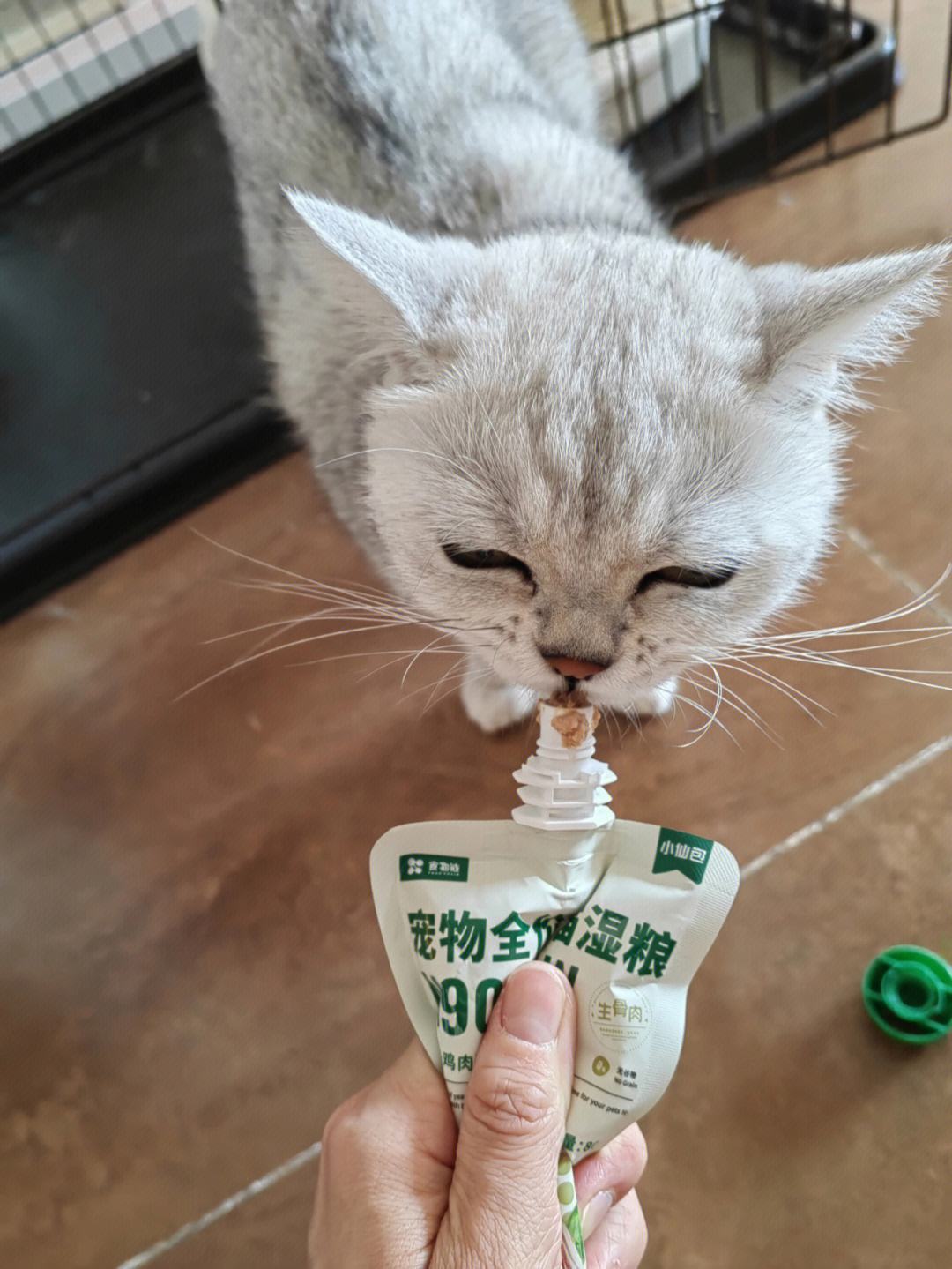 以太坊迷恋猫_以太坊loot 以太坊迷恋猫_以太坊loot